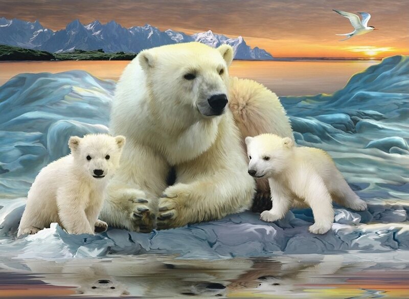 Polar Bear Family — White, Serene, Sunset