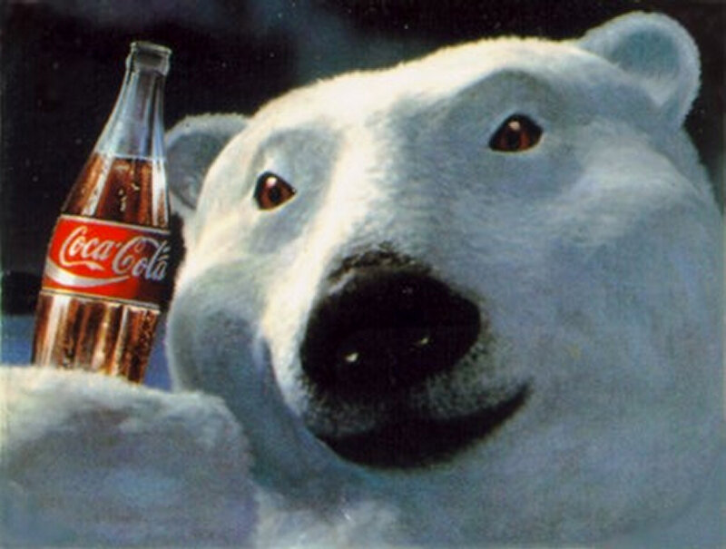 Polar Bear Holding Bottle