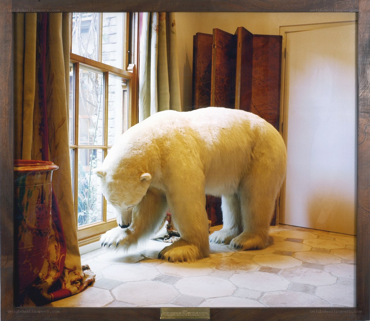 Polar bear in a room