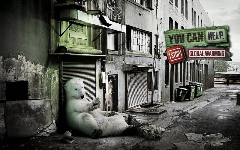 Polar Bear in Alley