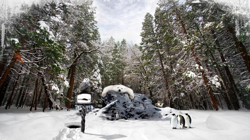 Polar Bear in Forest — White