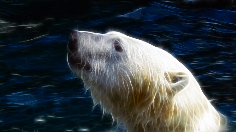 polar bear in glowing light
