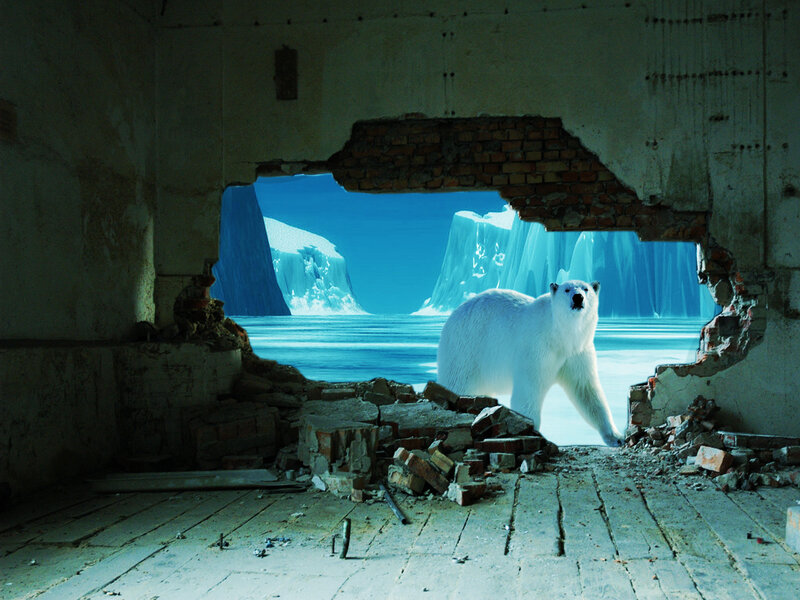 Polar bear in ruined building