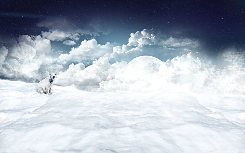 Polar Bear in Snow — White, Serene, Night, Digital Art, Clouds, Moon