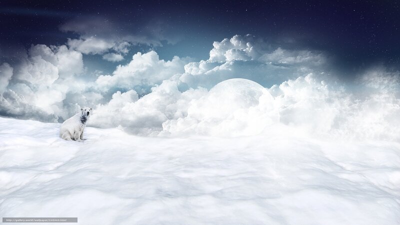 Polar Bear in Snow — White, Serene, Night, Digital Art, Clouds