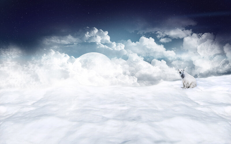Polar Bear in Snow — White, Serene, Night, Digital Art