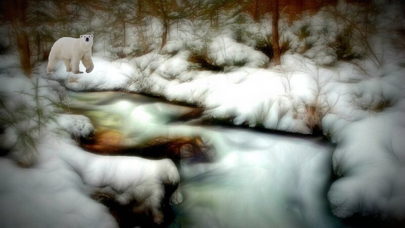 Polar Bear in Snow — White, Serene, Winter, Digital Art, River