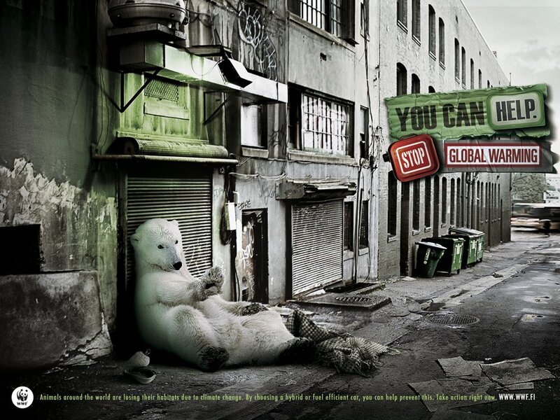 Polar bear in urban alley
