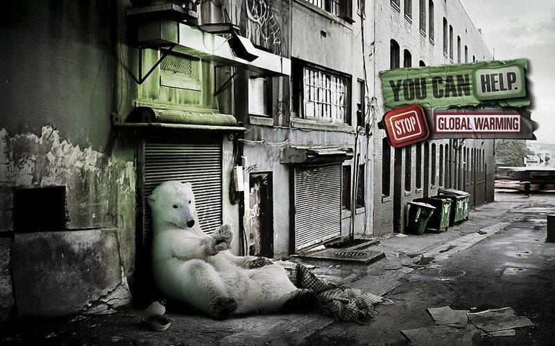 Polar bear in urban alley