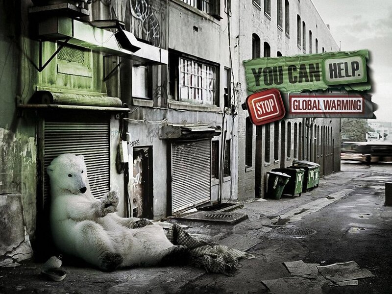 Polar bear in urban alley