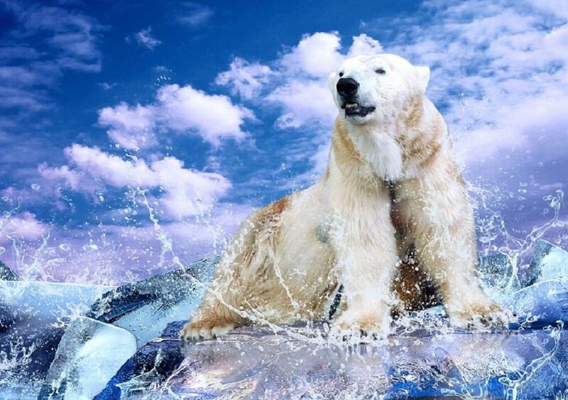 Polar Bear in Water — Blue, Dramatic
