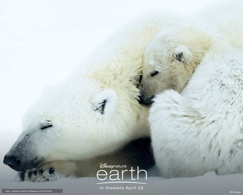Polar bear mother and cub
