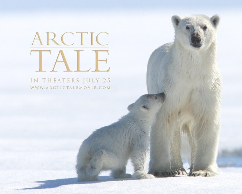 Polar Bear Mother and Cub — White, Serene