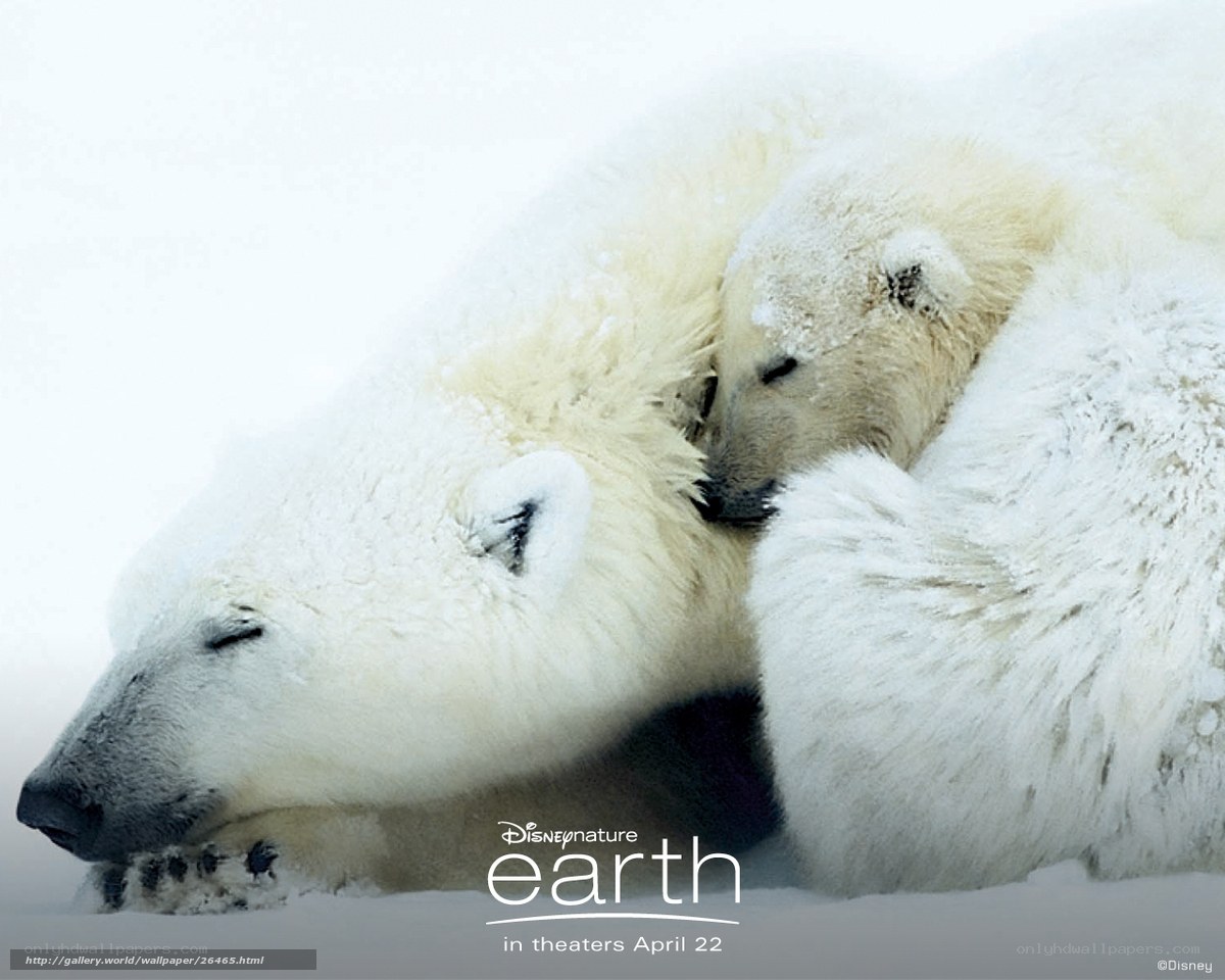 Polar bear mother and cub