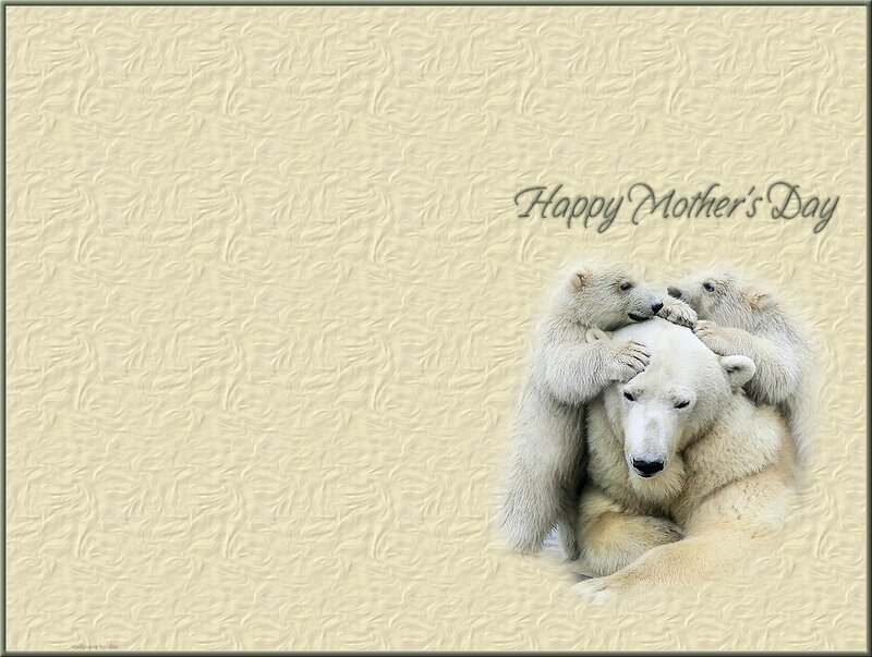 Polar Bear Mother with Cubs — White, Tender