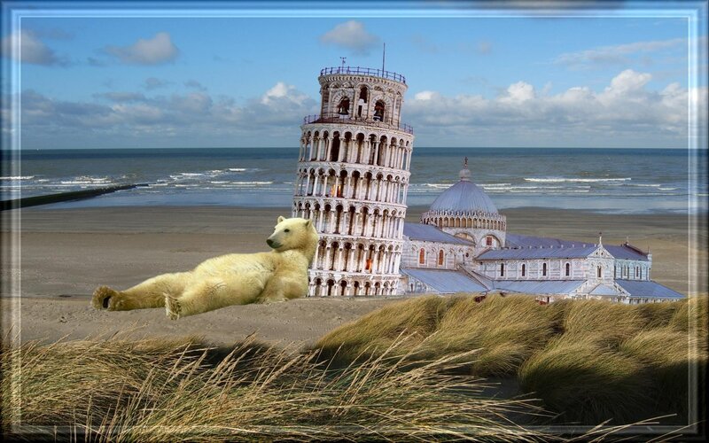 Polar bear on beach with Leaning Tower