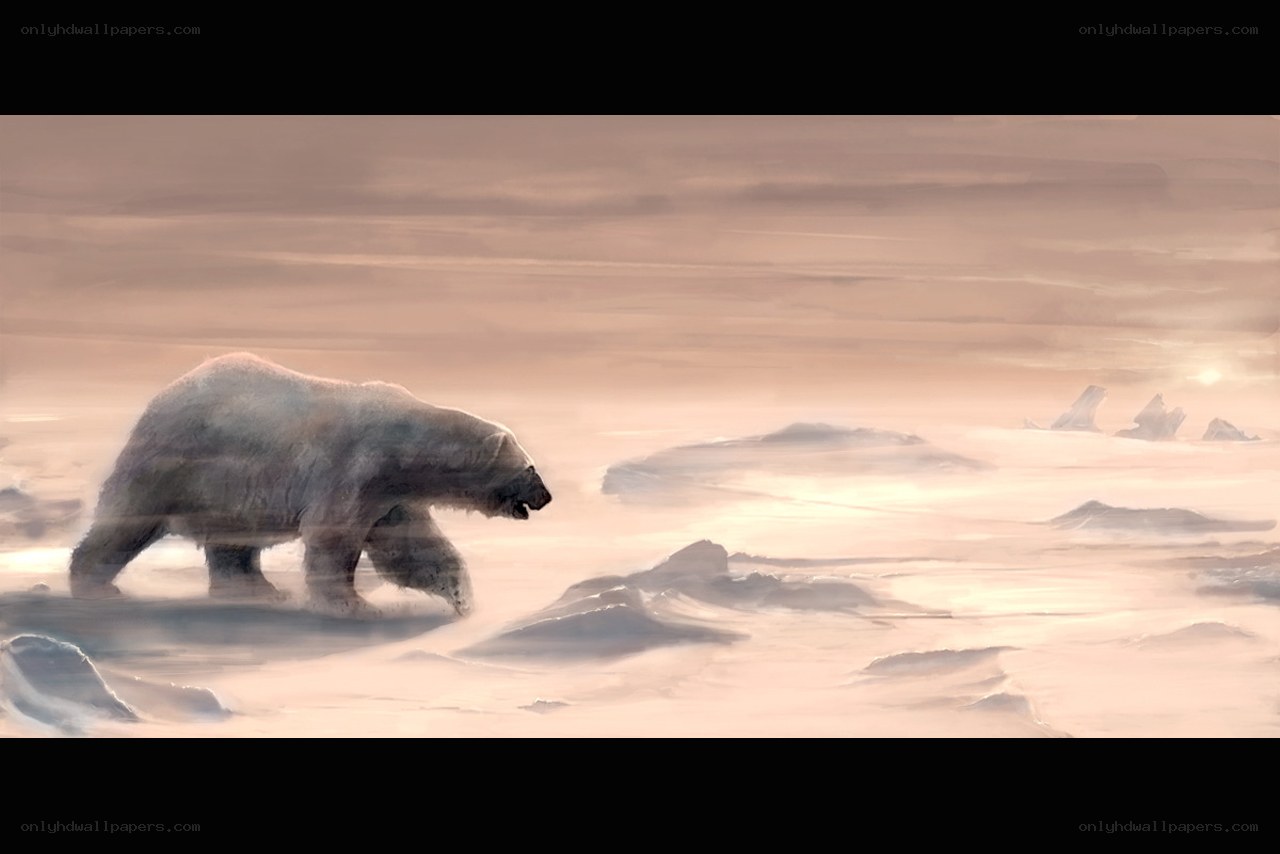 Polar bear on ice