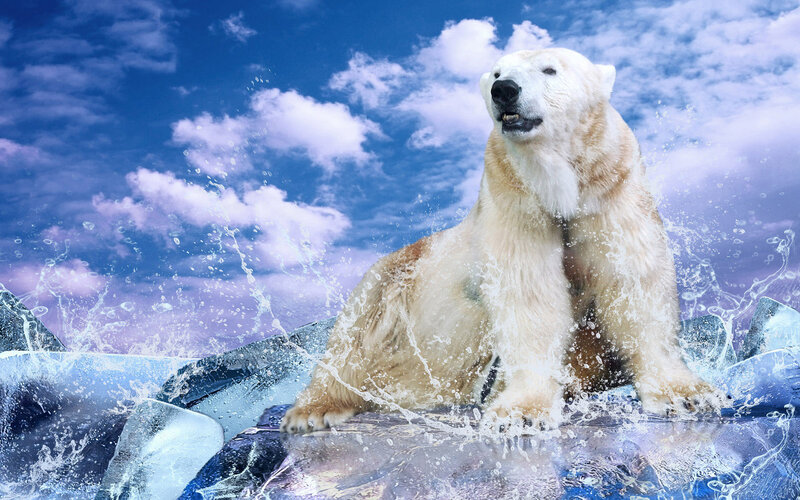 Polar Bear on Ice — Blue, Dramatic, Digital Art