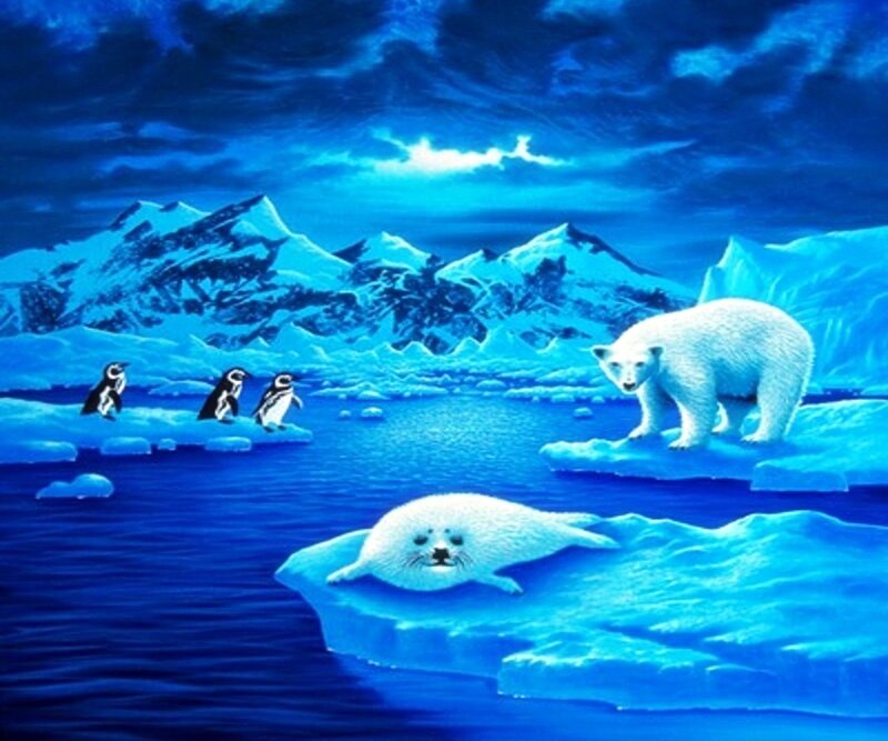 Polar Bear on Ice — Blue, Dramatic, Night, Digital Art, Seal