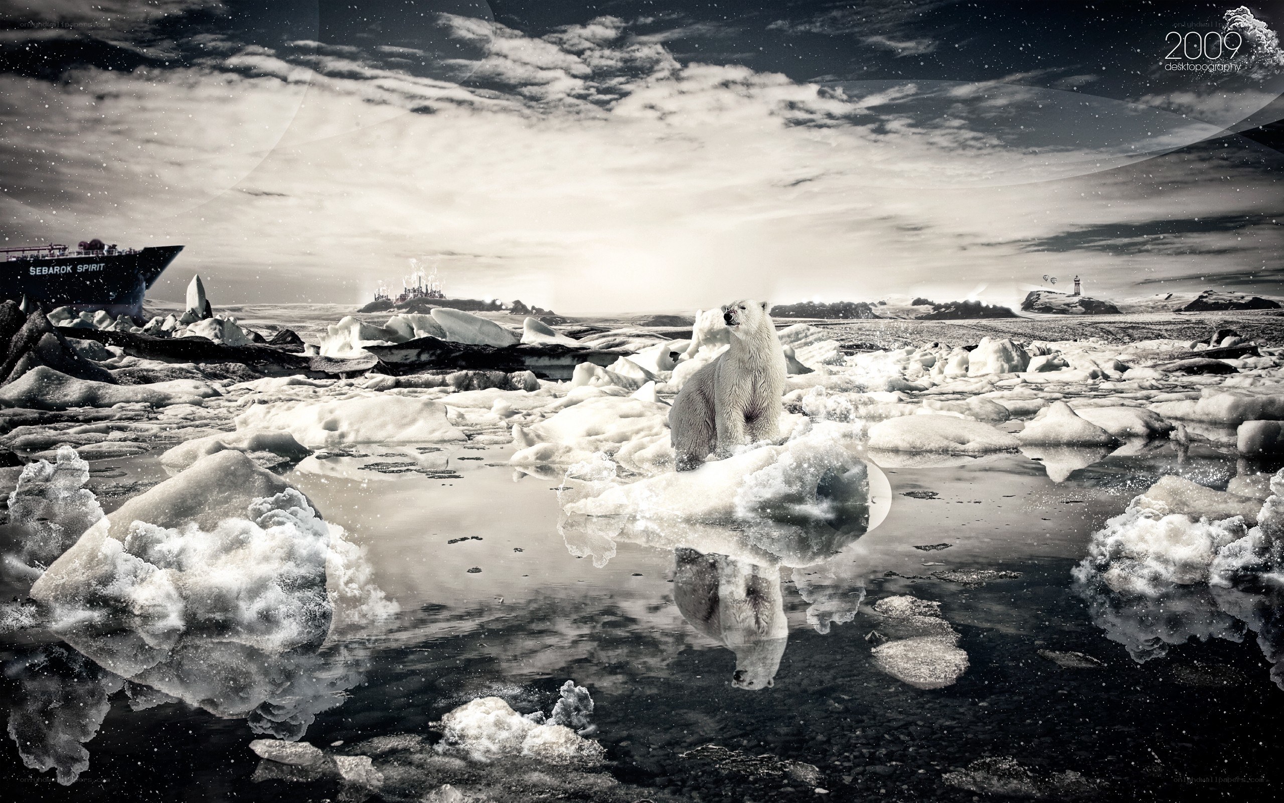 Polar bear on ice floe