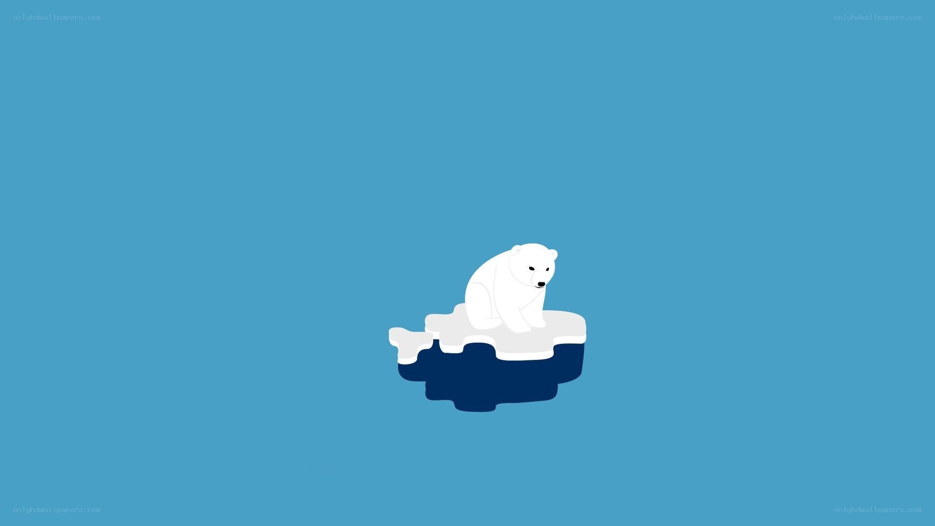 polar bear on ice floe