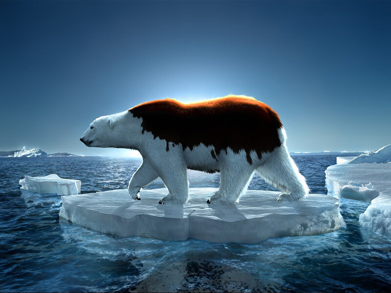 Polar Bear on Ice — White, Dramatic, Digital Art, Iceberg