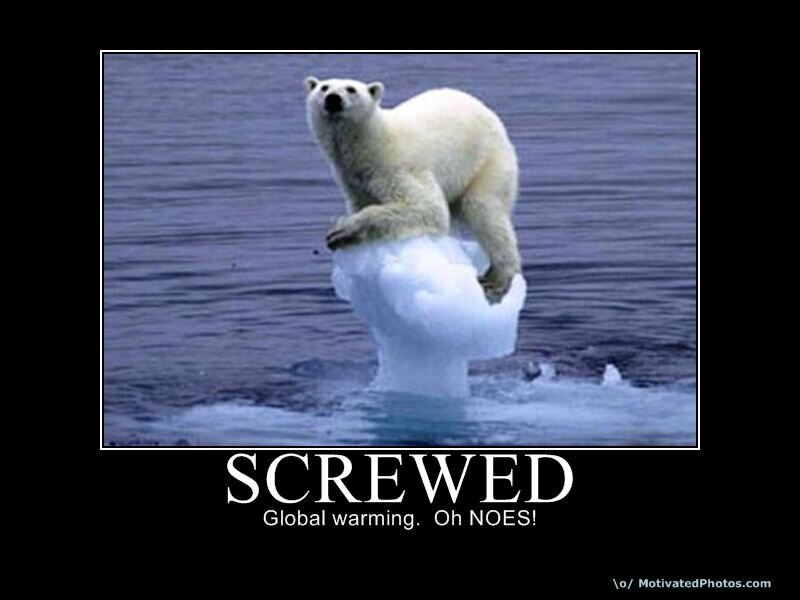 polar bear on melting ice