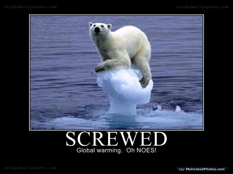 polar bear on melting ice
