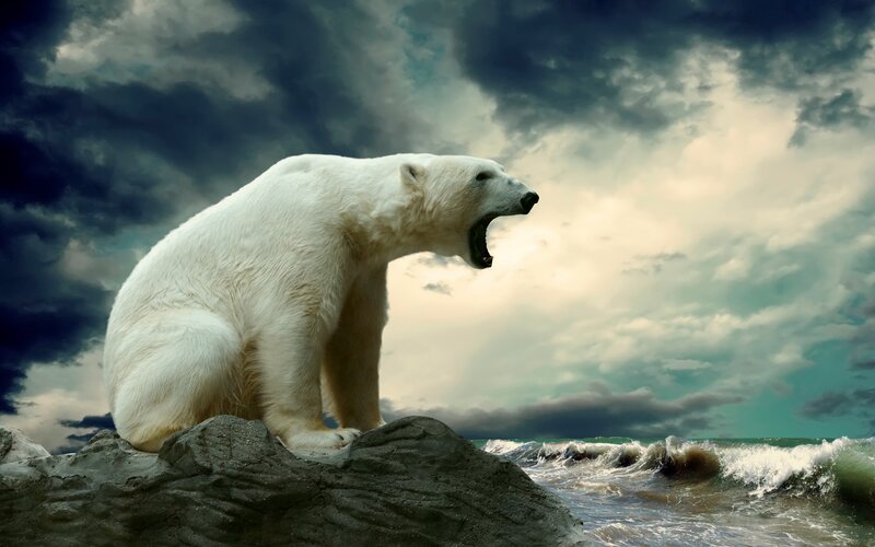 Polar Bear on Rock — White, Dramatic, Digital Art, Ocean, Clouds, Gray, Blue
