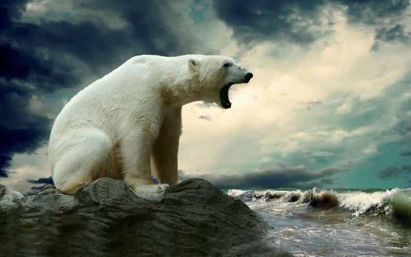 Polar Bear on Rock — White, Dramatic, Digital Art, Ocean, Clouds