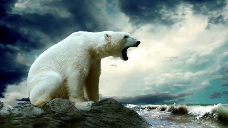 Polar Bear on Rock — White, Dramatic, Digital Art