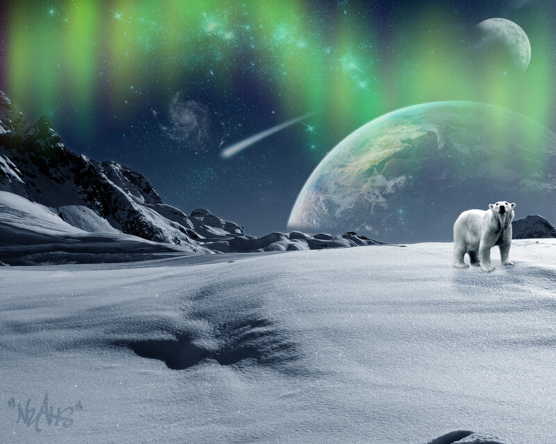 Polar Bear on Snow — Green