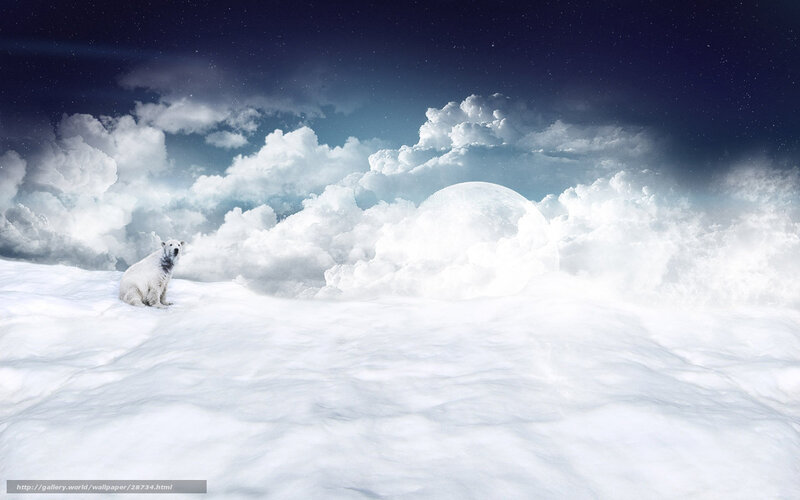 Polar bear on snowy landscape