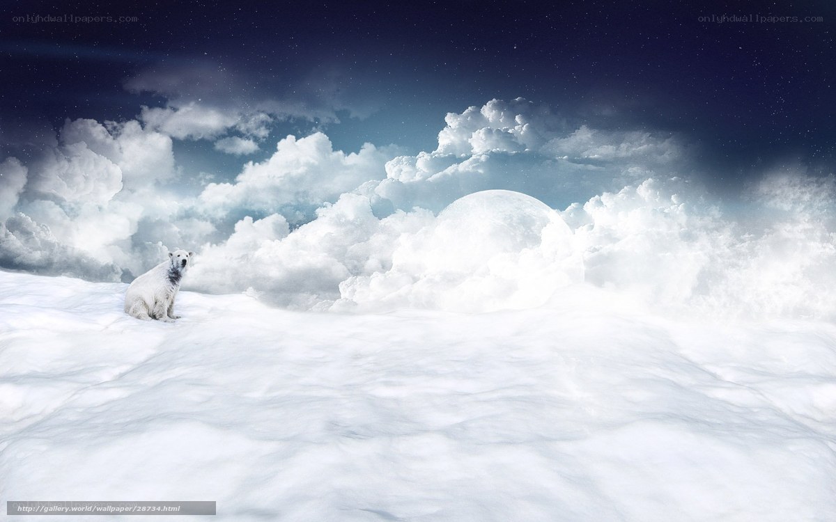 Polar bear on snowy landscape
