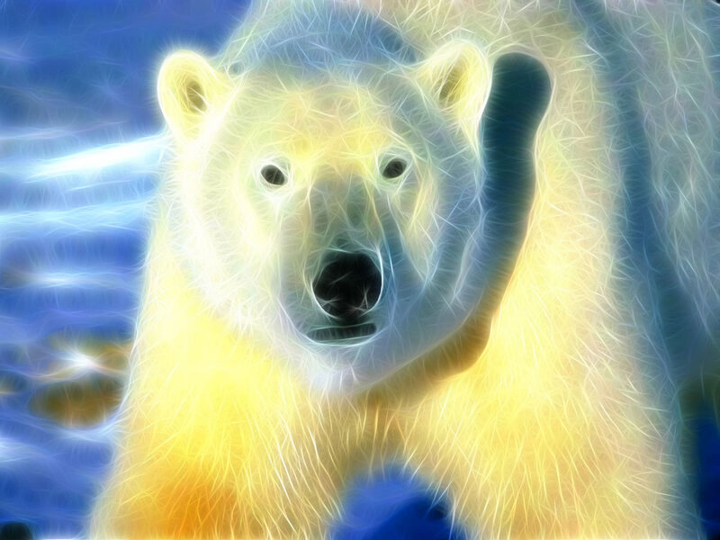 Polar Bear Portrait