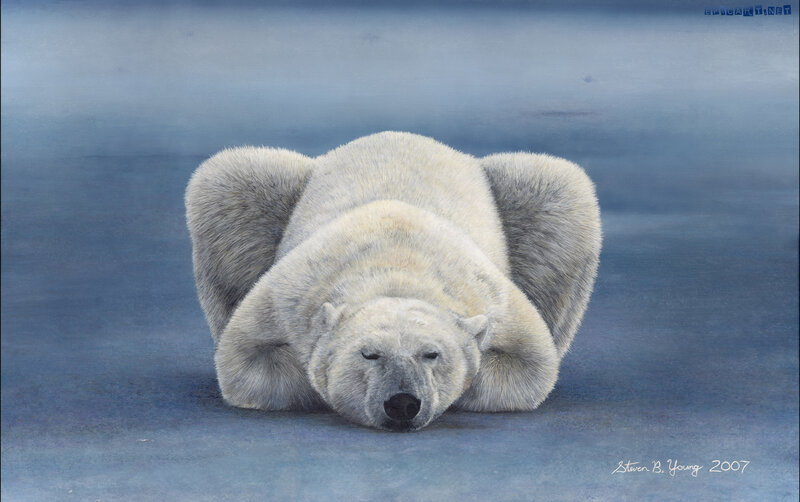 Polar bear resting on ice