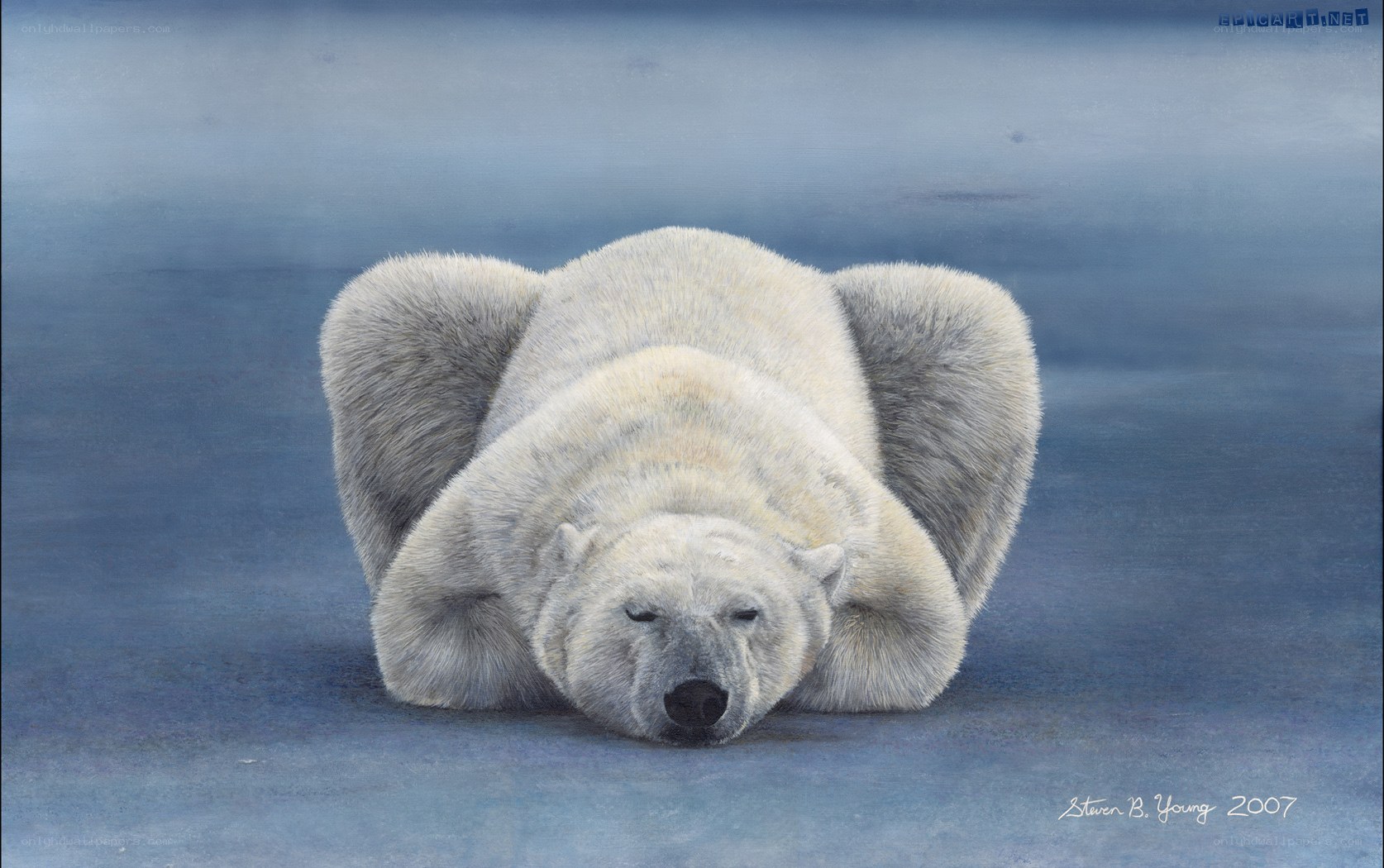 Polar bear resting on ice