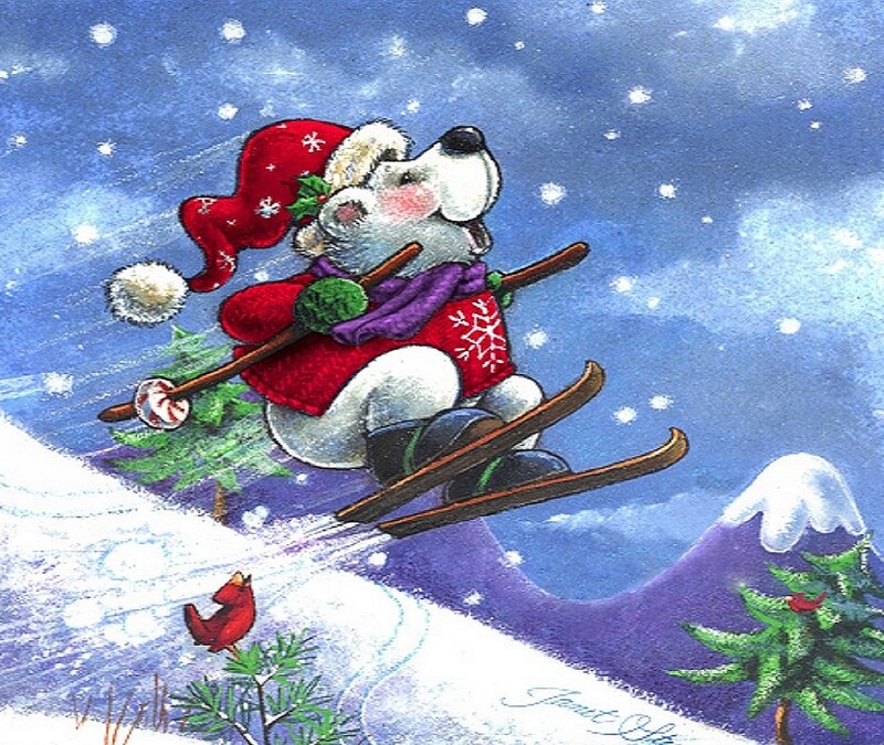 Polar Bear Skiing