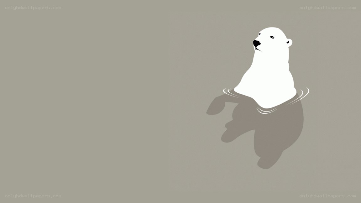 polar bear swimming