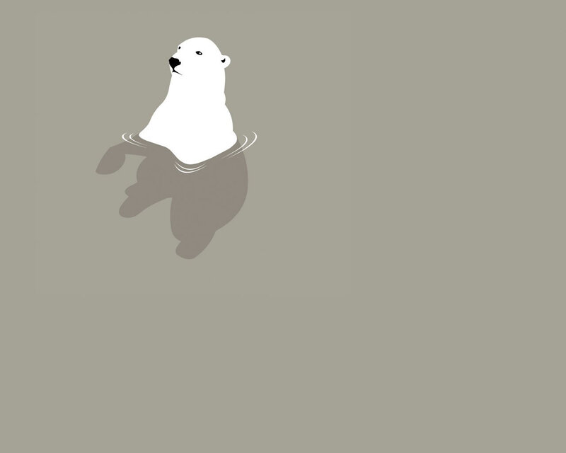 polar bear swimming