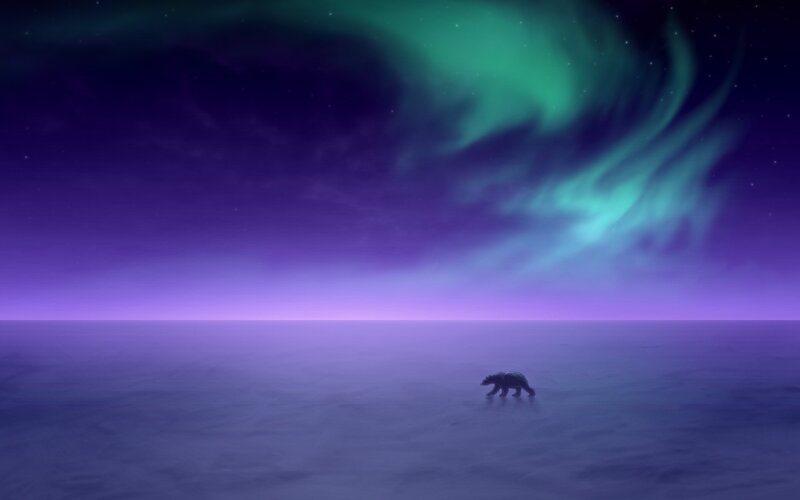 Polar Bear Walking — Purple, Serene, Night