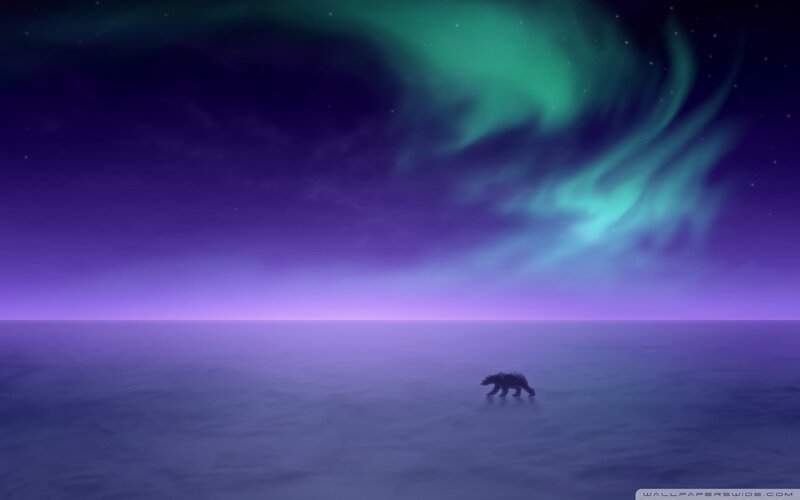 Polar Bear Walking — Purple, Serene