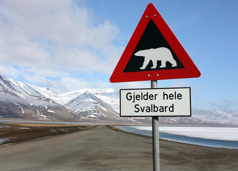 Polar Bear Warning Sign