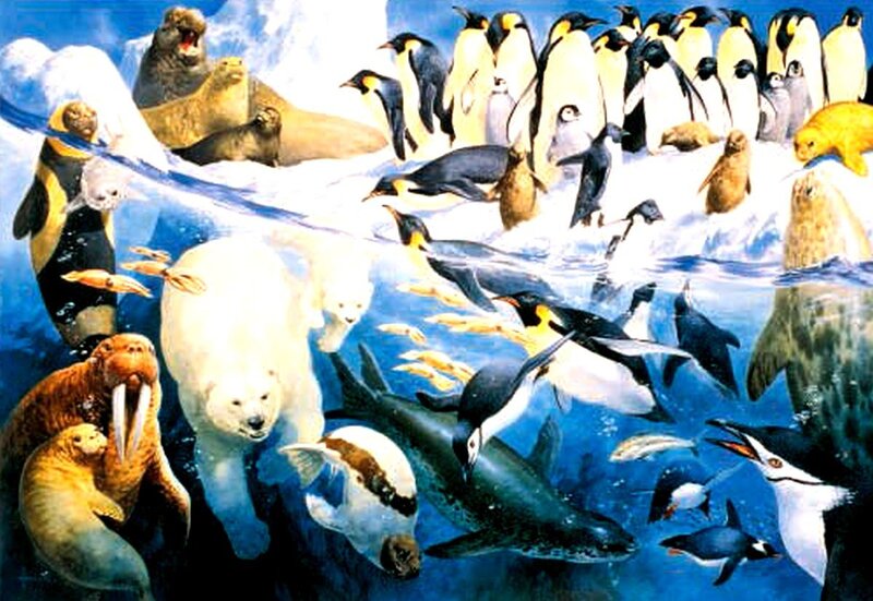 Polar Bears and Penguins