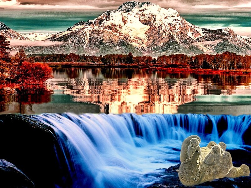 Polar Bears at Waterfall