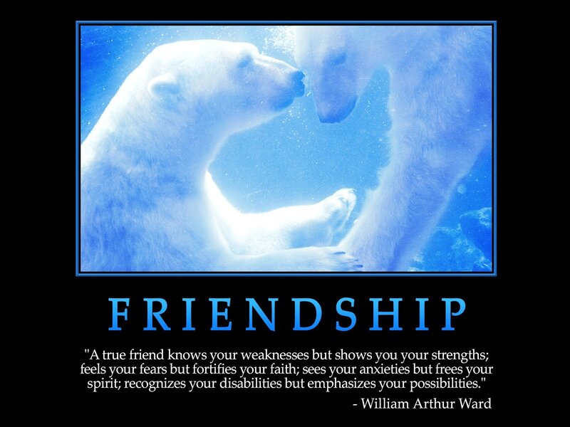 polar bears friendship