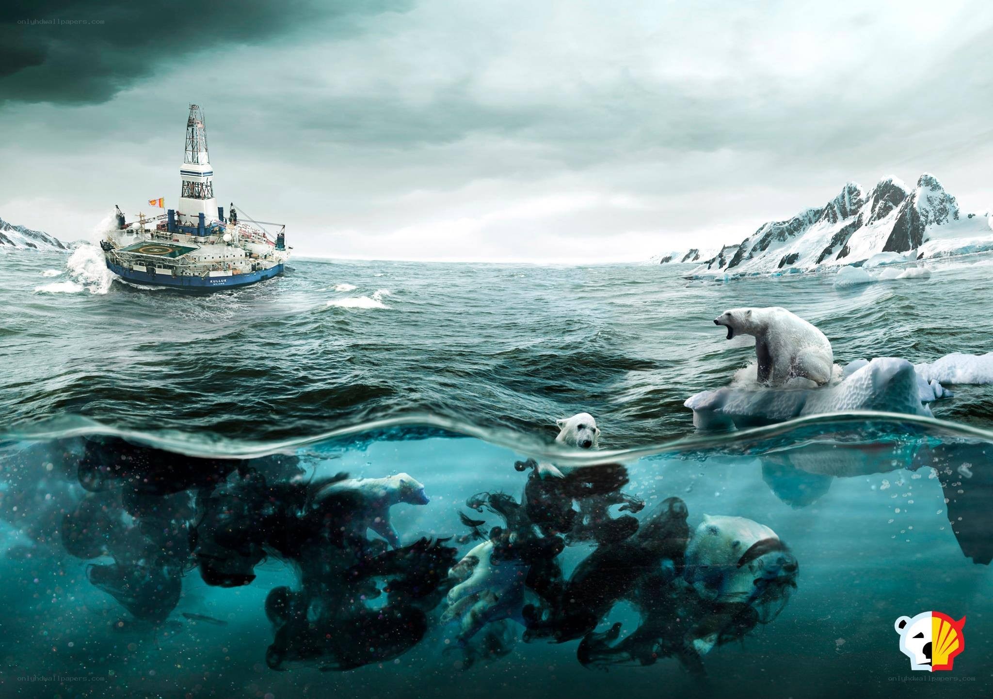 Polar bears in a changing Arctic