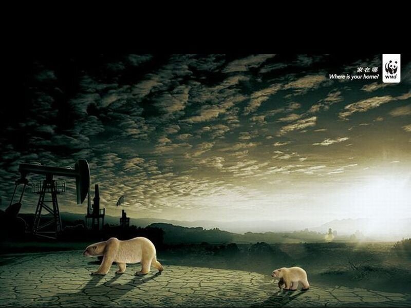 Polar Bears in Desert