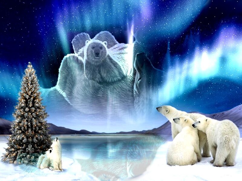Polar Bears in Snow — Blue, Serene