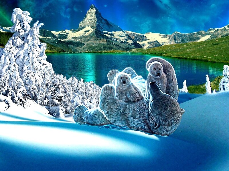 Polar Bears in Snow — Blue